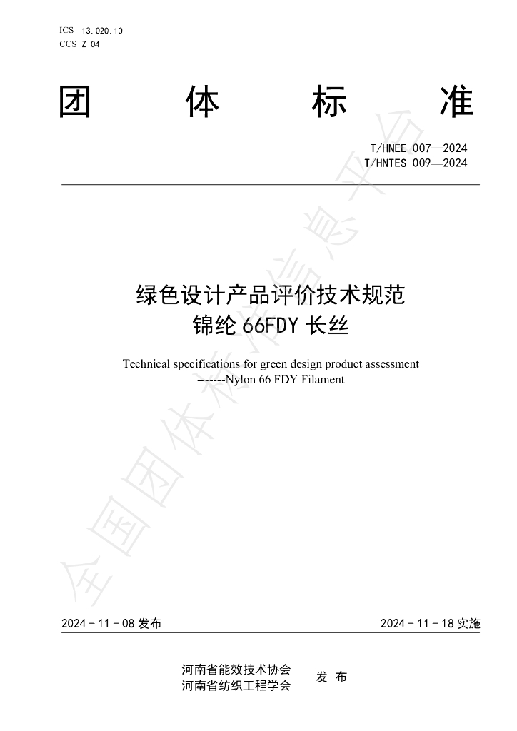 T/HNEE 007-2024 标准预览