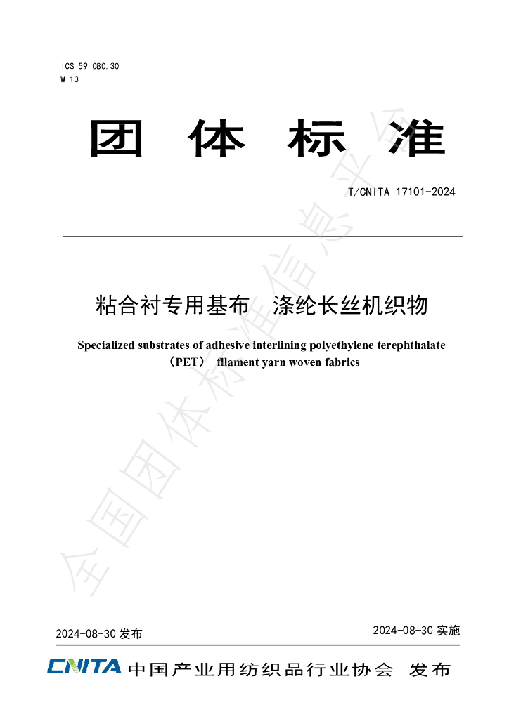 T/CNITA 17101-2024 标准预览