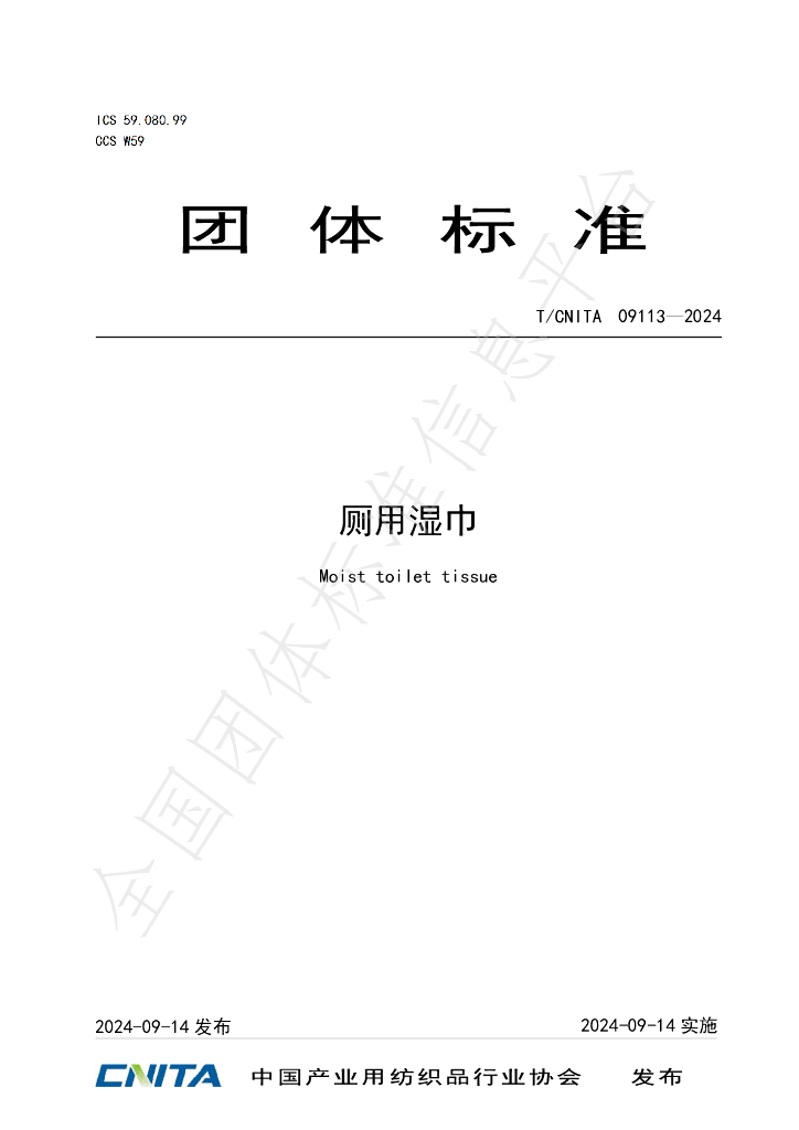T/CNITA 09113-2024 标准预览