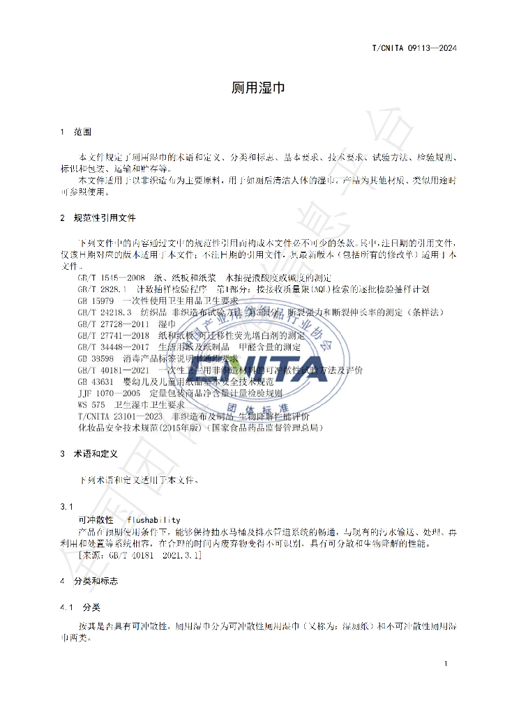 T/CNITA 09113-2024 标准预览