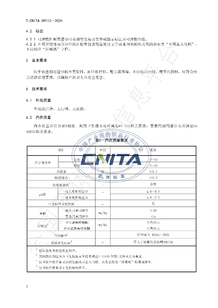 T/CNITA 09113-2024 标准预览