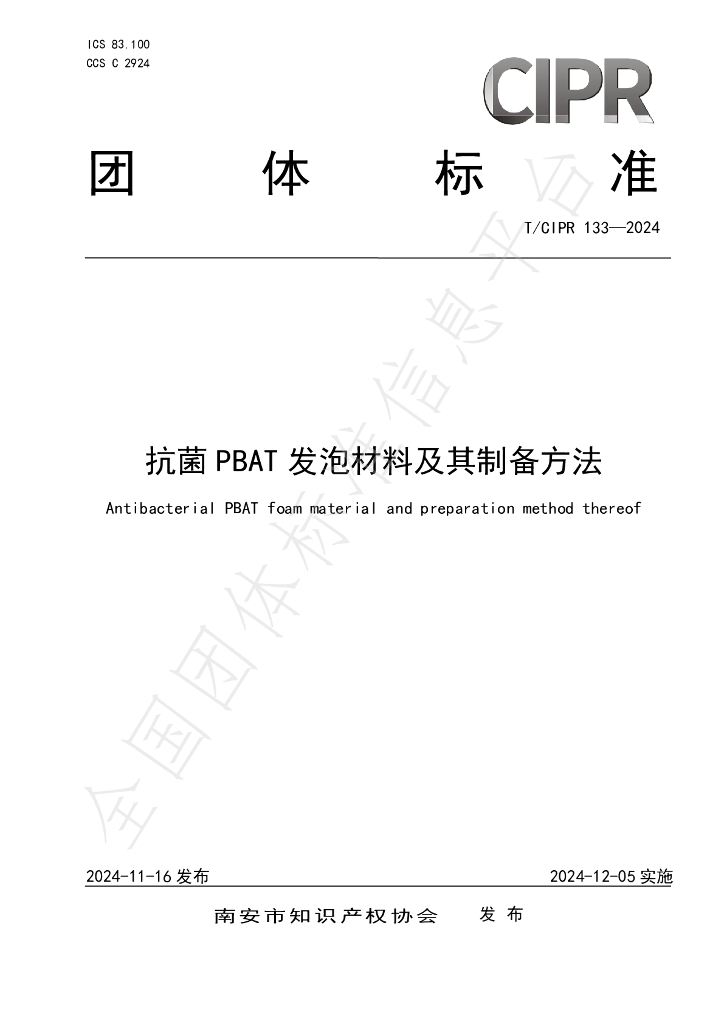 T/CIPR 133-2024 标准预览