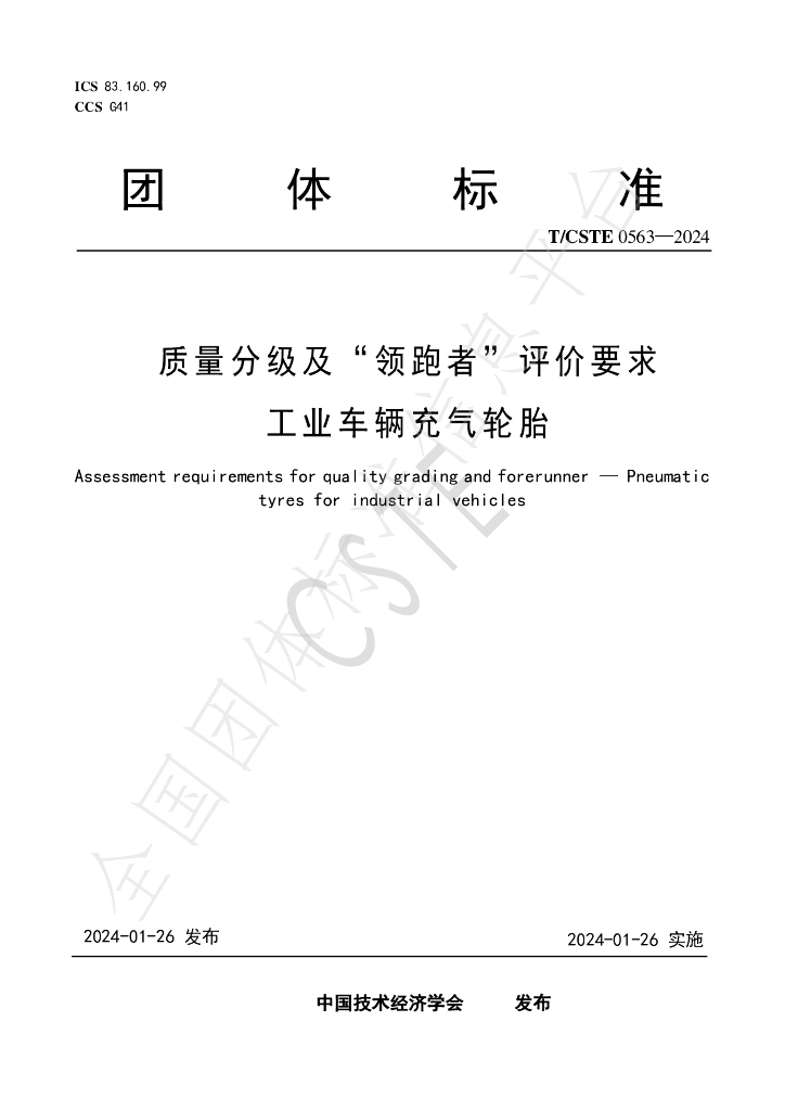 T/CSTE 0563-2024 标准预览