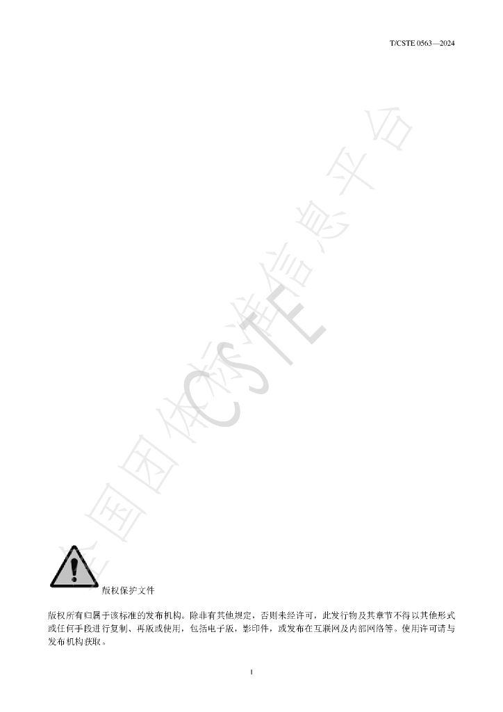 T/CSTE 0563-2024 标准预览