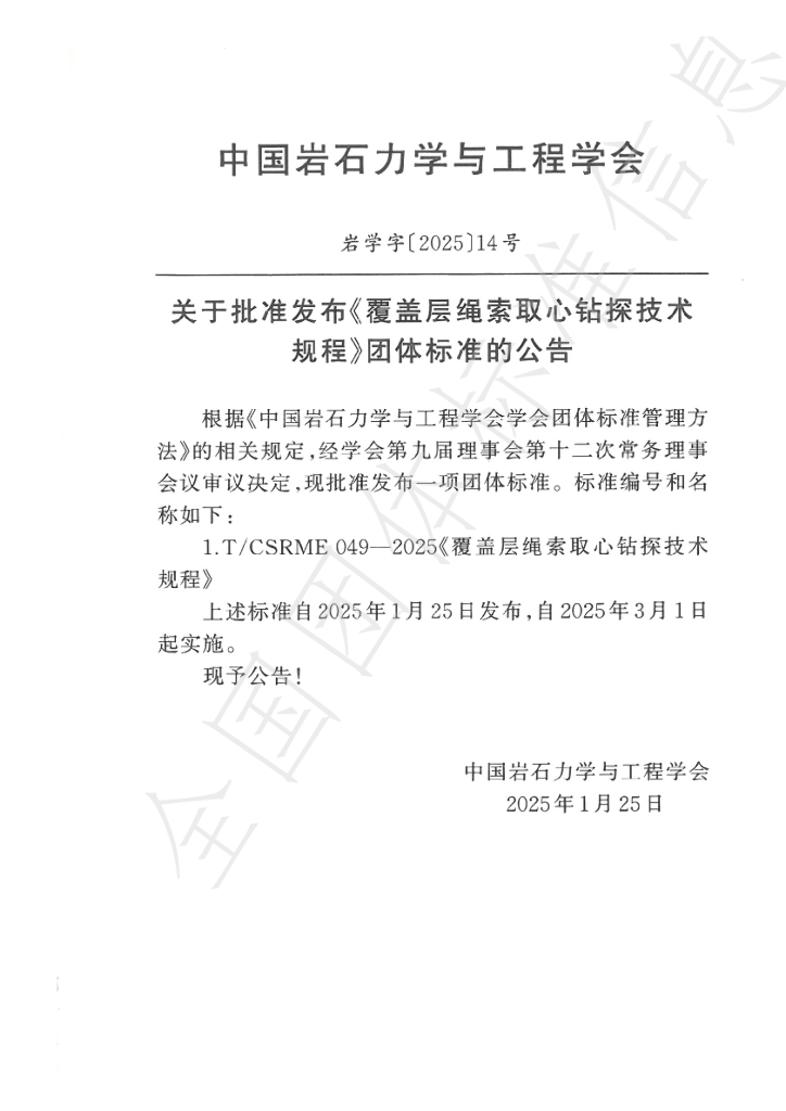 T/CSRME 049-2025 标准预览