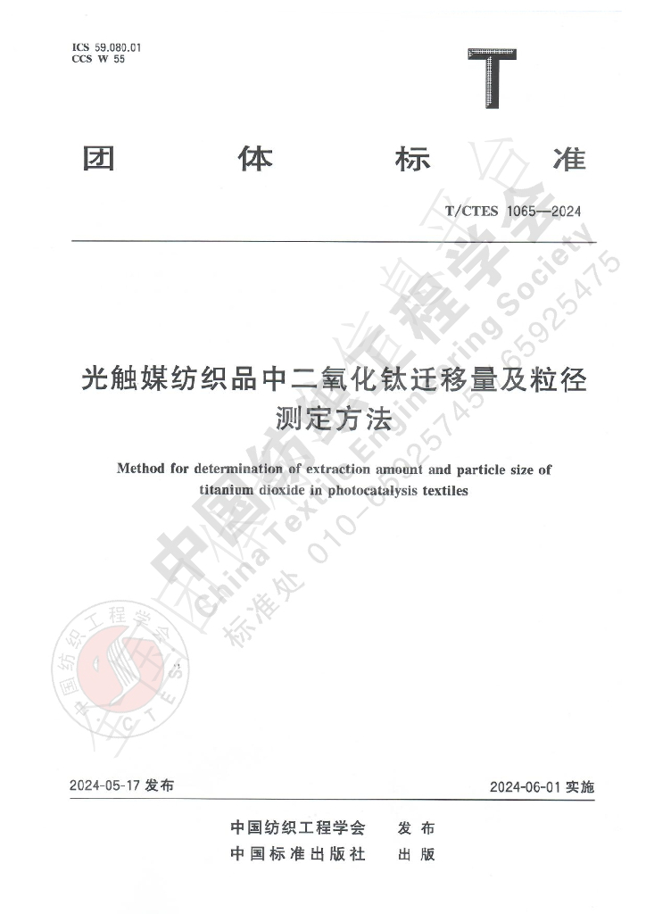 T/CTES 1065-2024 标准预览