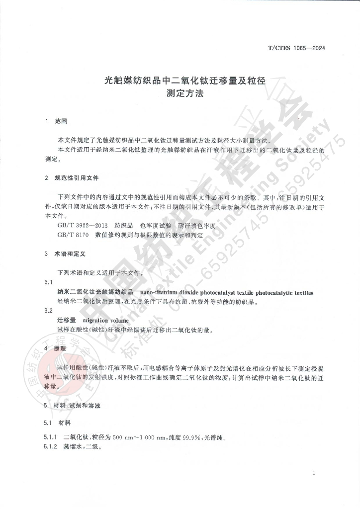 T/CTES 1065-2024 标准预览