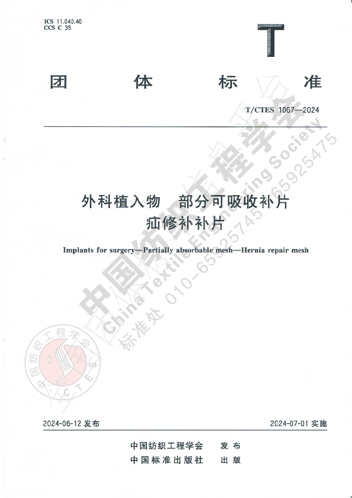 T/CTES 1067-2024 标准预览