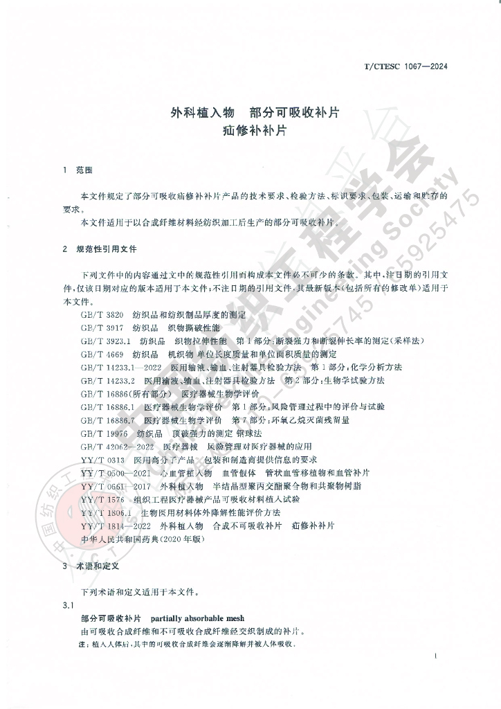 T/CTES 1067-2024 标准预览