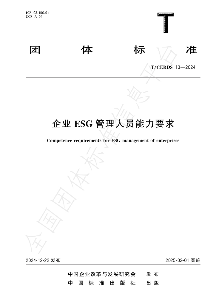 T/CERDS 13-2024 标准预览