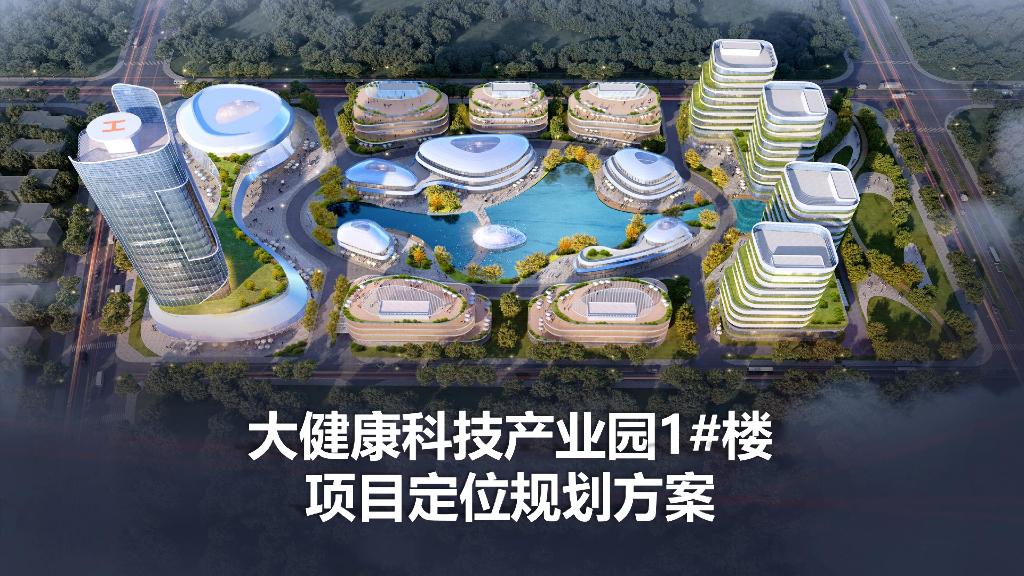 大健康科技产业园1#楼项目定位规划方案
