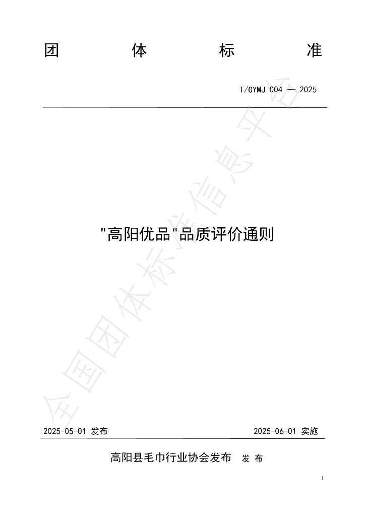 T/GYMJ 004-2025 标准预览