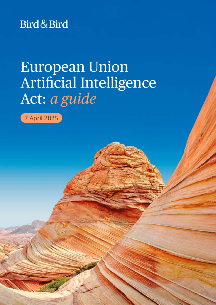 Bird&Bird：2025年欧盟<em>人工智能</em>法案：指南报告（英文版） 海报