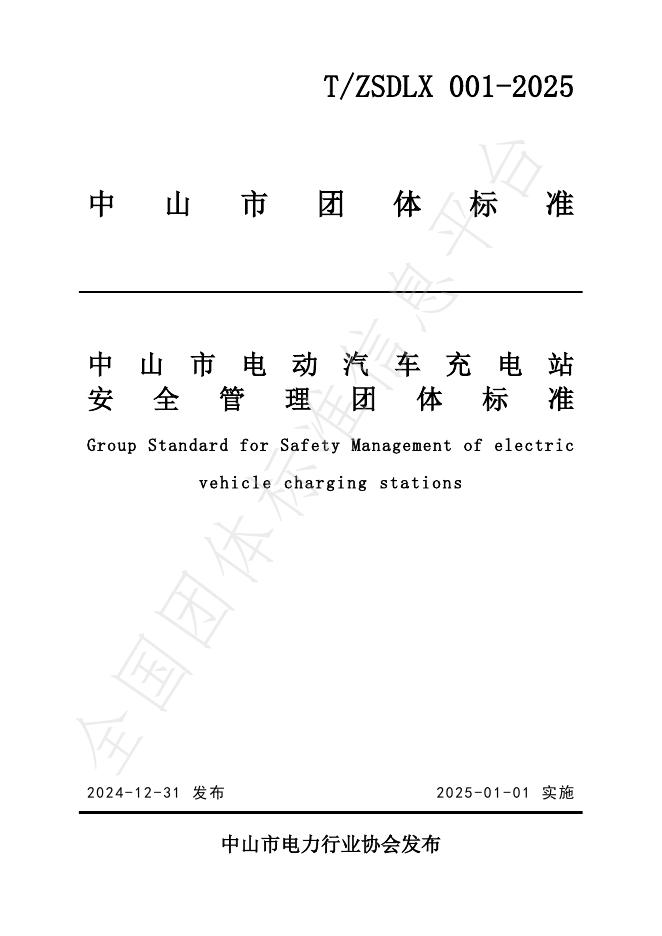 T/ZSDLX 001-2025 标准预览