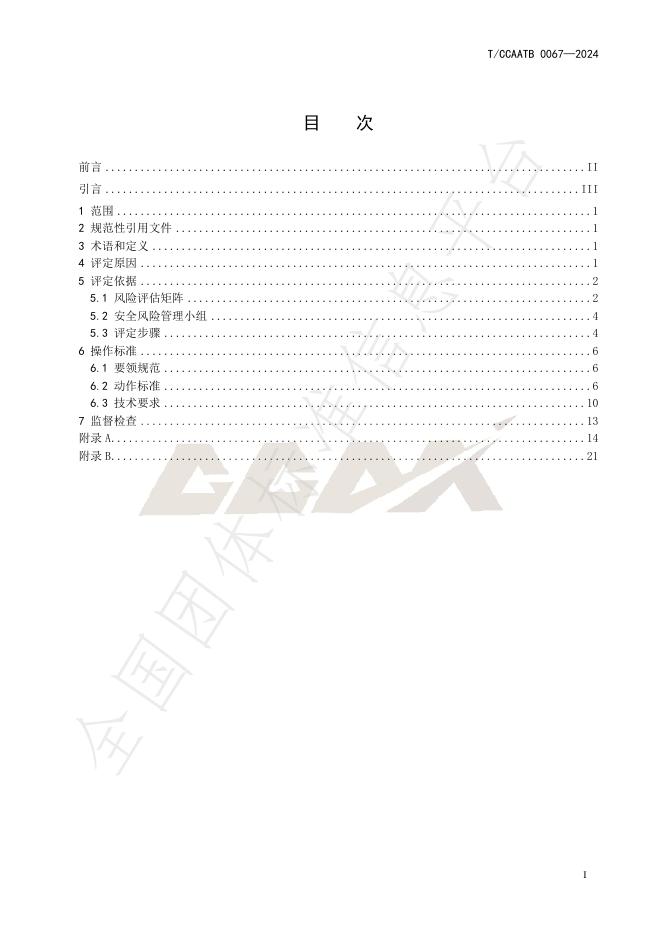 T/CCAATB 0067-2024 标准预览