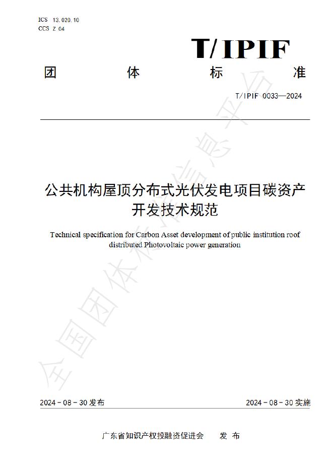 T/IPIF 0033-2024 标准预览