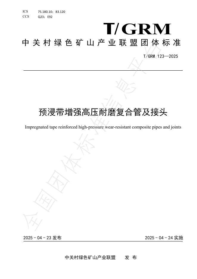 T/GRM 123-2025 标准预览