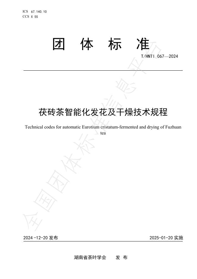T/HNTI 067-2024 标准预览