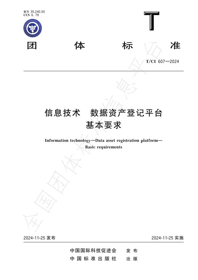 T/CI 607-2024 标准预览