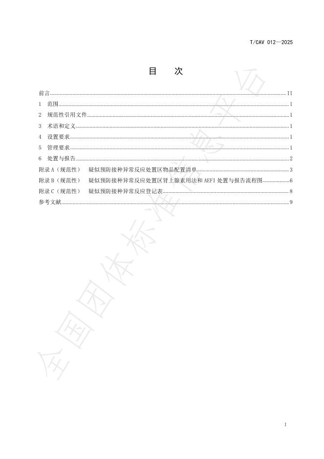 T/CAV 012-2025 标准预览