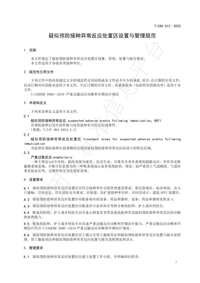 T/CAV 012-2025 标准预览