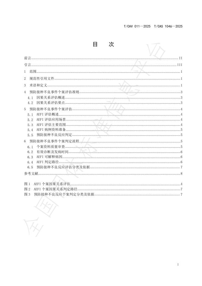 T/CAV 011-2025 标准预览