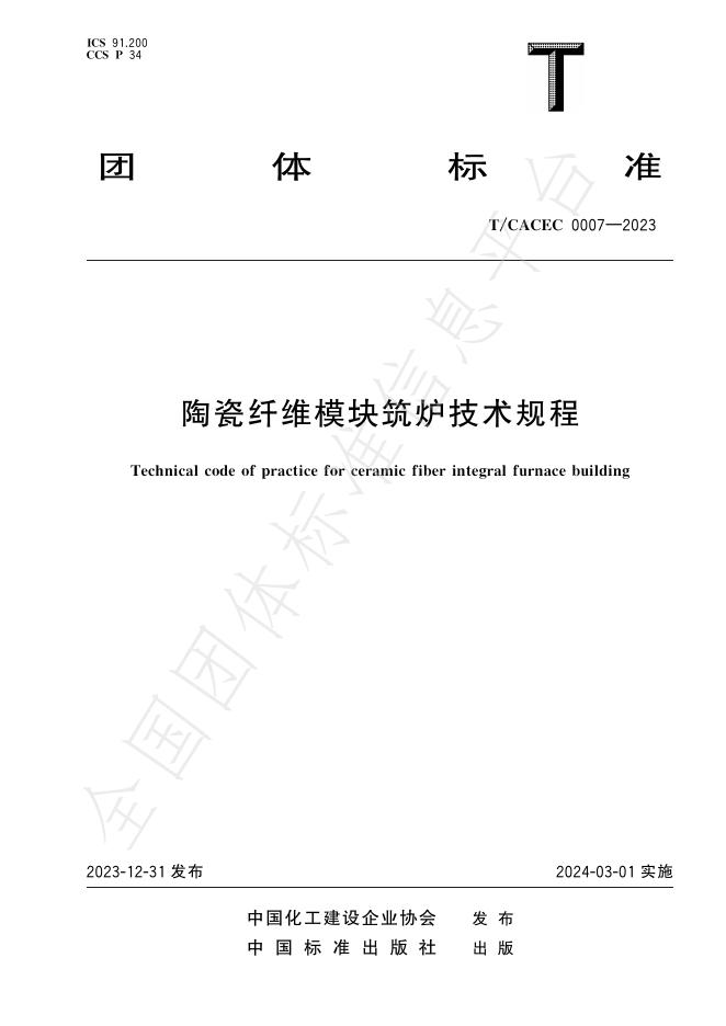 T/CACEC 0007-2023 标准预览