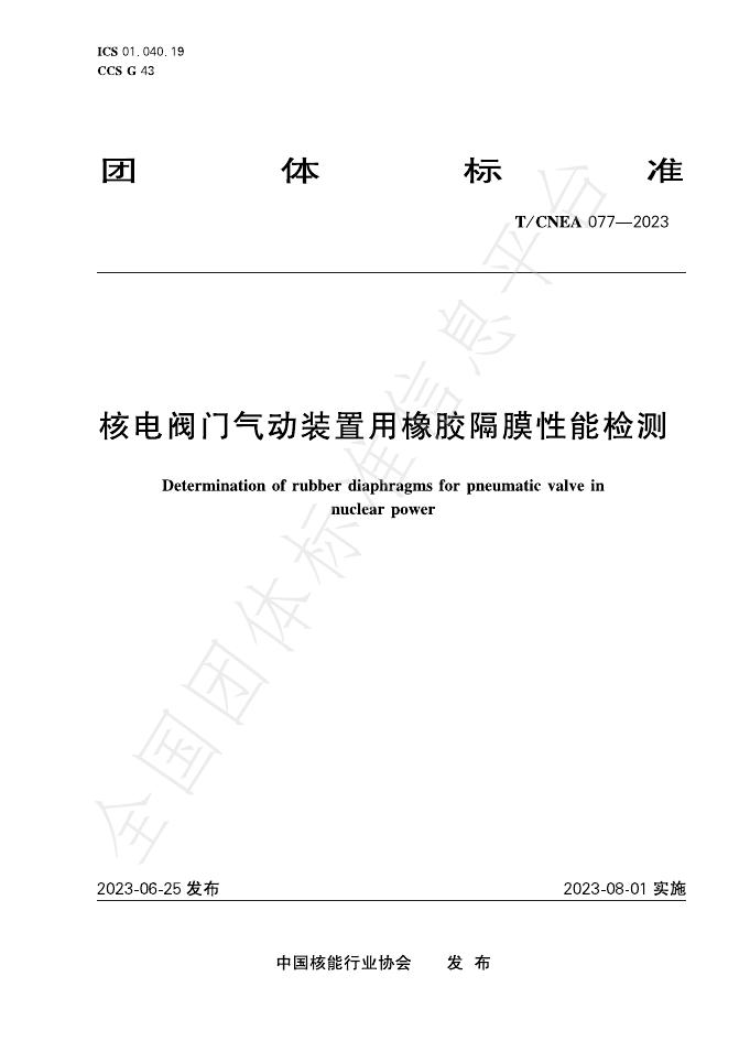 T/CNEA 077-2023 标准预览