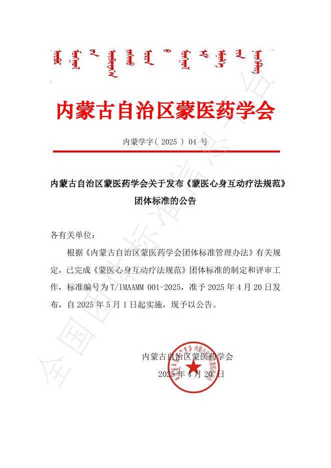 T/IMAAMM 001-2025 标准预览