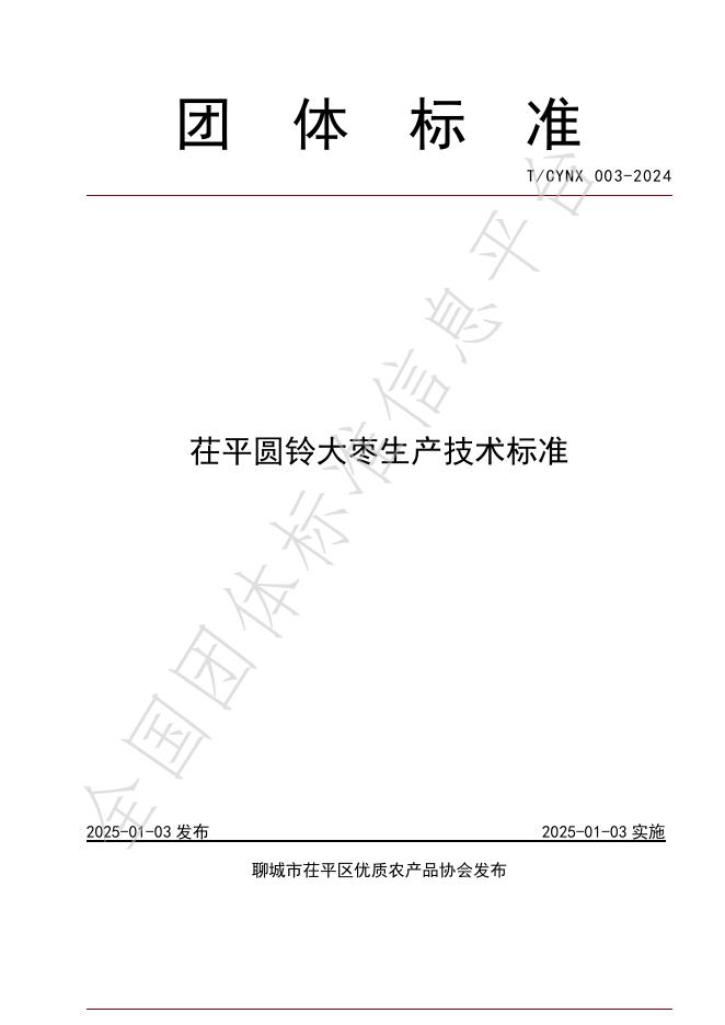 T/CYNX 003-2025 标准预览