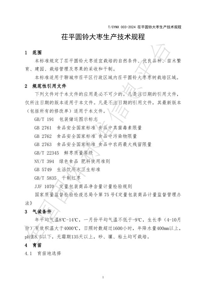 T/CYNX 003-2025 标准预览