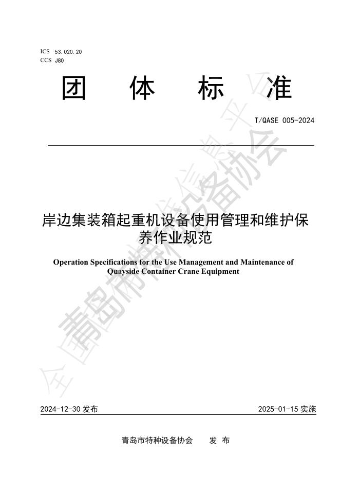T/QASE 005-2024 标准预览