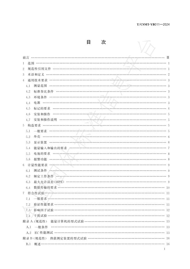 T/CSMT YB011-2024 标准预览