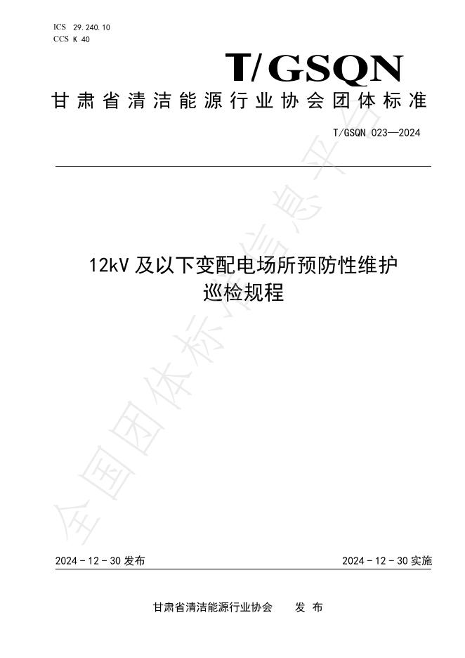 T/GSQN 023-2024 标准预览