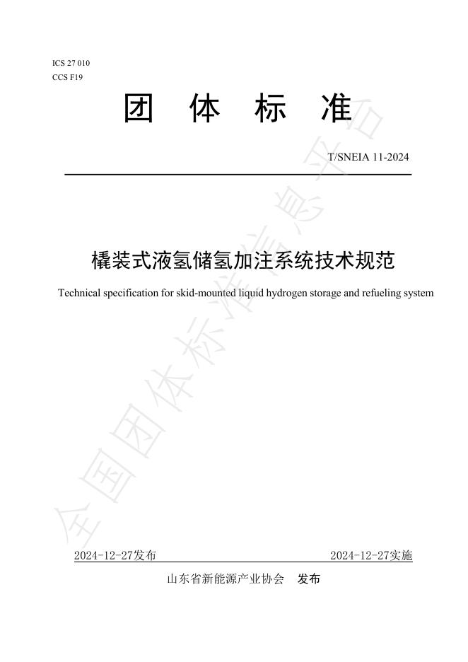 T/SNEIA 11-2024 标准预览