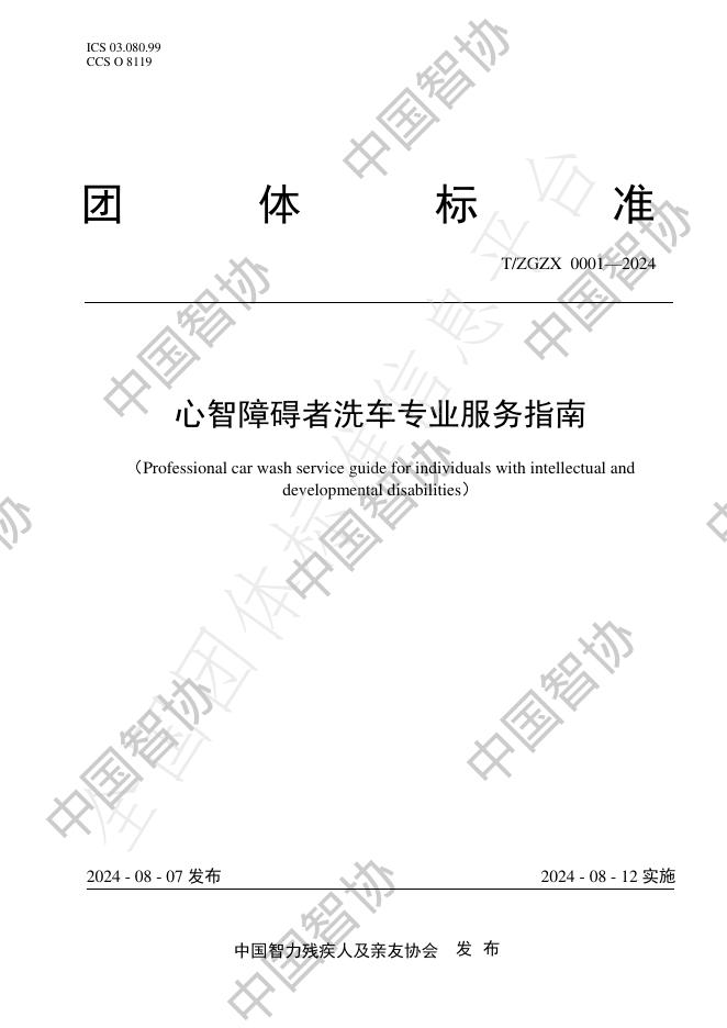 T/ZGZX 0001-2024（修） 标准预览