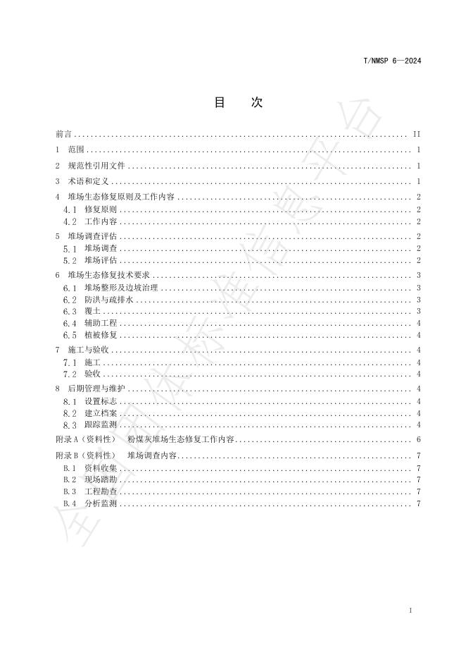 T/NMSP 6-2024 标准预览