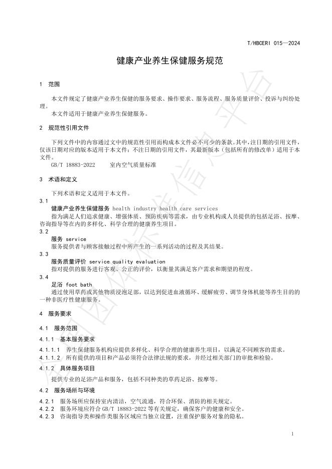 T/HBCERI 015-2024 标准预览