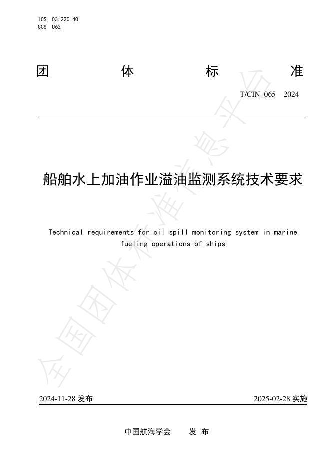 T/CIN 065-2024 标准预览