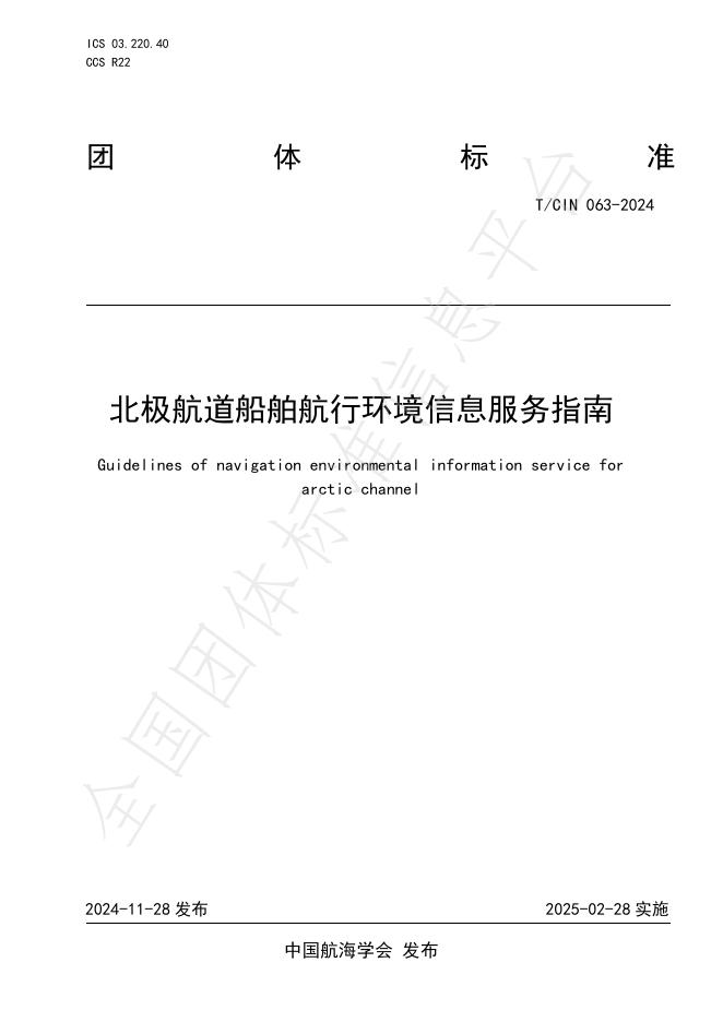 T/CIN 063-2024 标准预览
