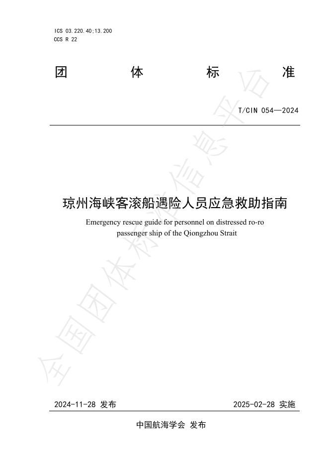 T/CIN 054-2024 标准预览