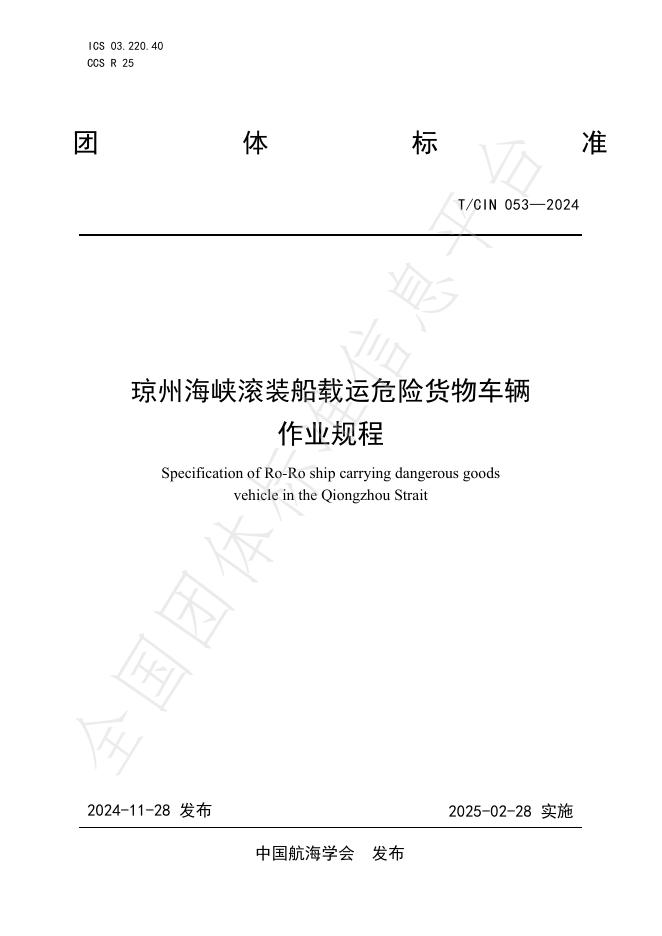 T/CIN 053-2024 标准预览