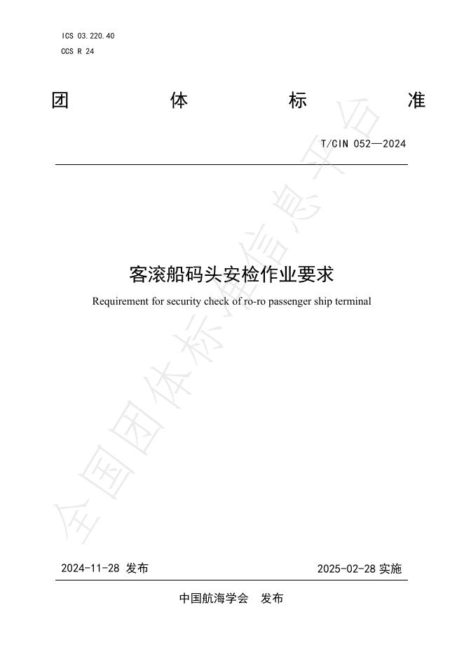 T/CIN 052-2024 标准预览