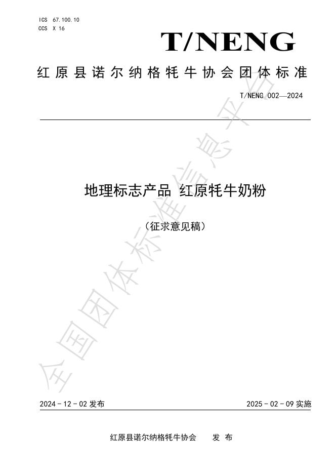T/NENG 002-2024 标准预览