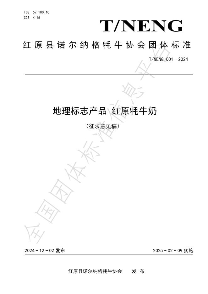 T/NENG 001-2024 标准预览