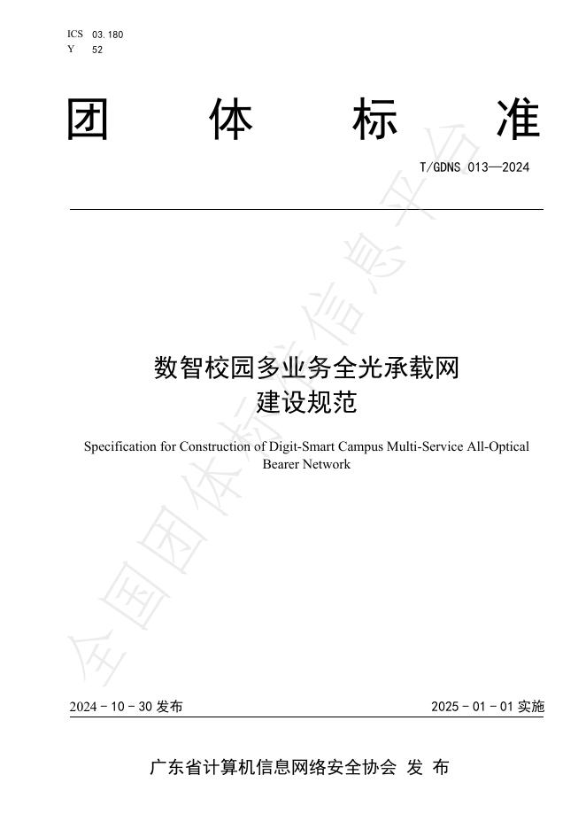 T/GDNS 013-2024 标准预览