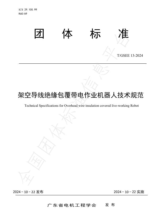 T/GSEE 13-2024 标准预览