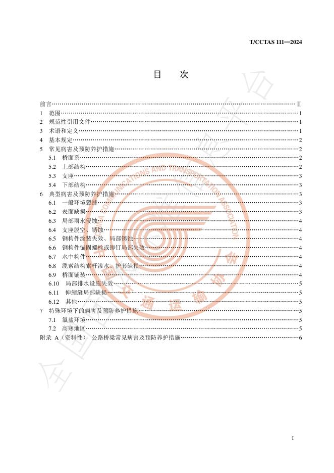 T/CCTAS 111-2024 标准预览
