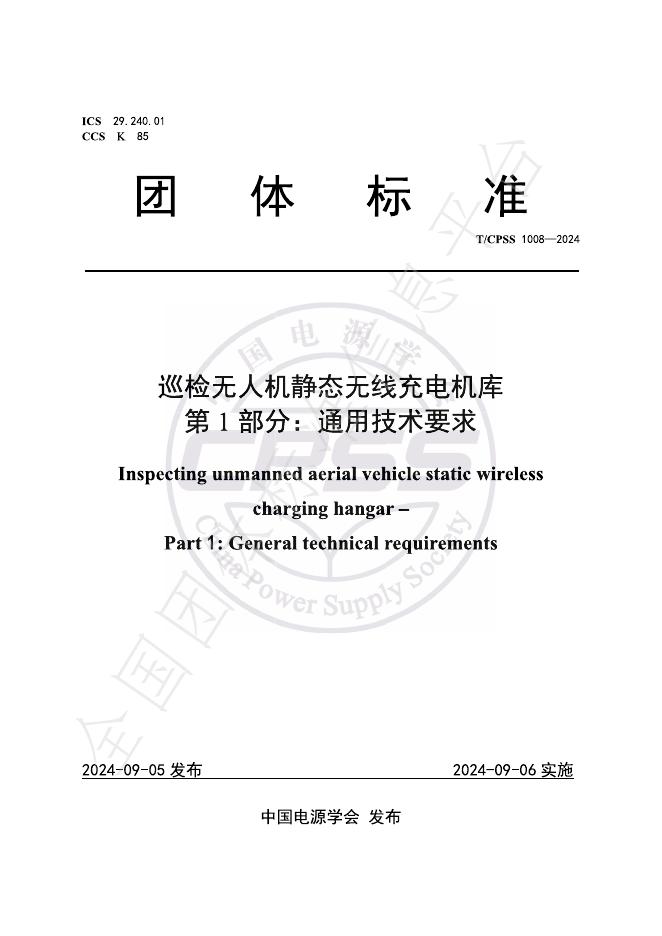 T/CPSS 1009-2024 标准预览