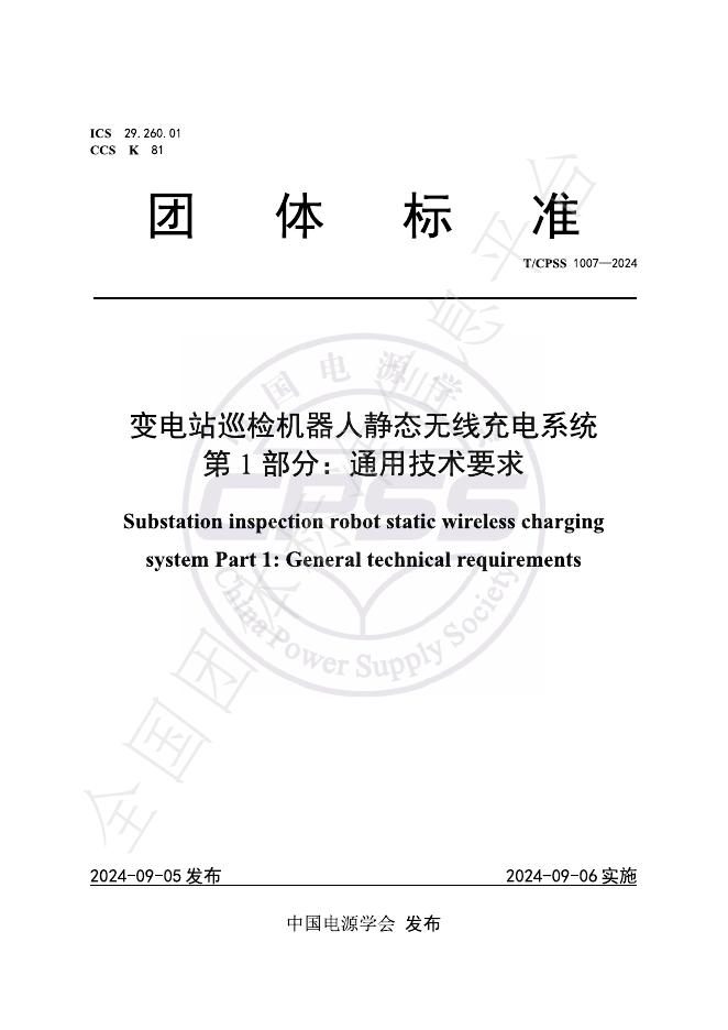 T/CPSS 1007-2024 标准预览
